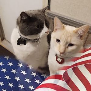 Meet your Posher, Rita